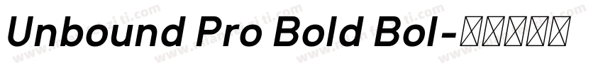 Unbound Pro Bold Bol字体转换